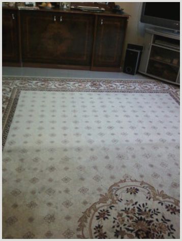 Использование «ваниша» для мойки ковров: особенности чистки моющим средством