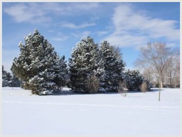 Как зимой почистить ковры снегом –нюансы и правила проведения мероприятий