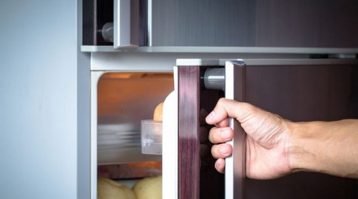 Скрип двери холодильника либхер?