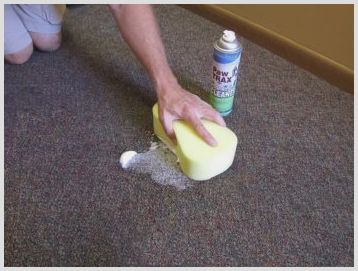 Как избавляются от запаха собачьей мочи на ковре, способы и средства очистки