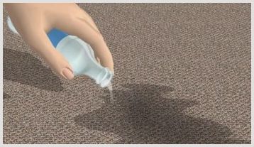 Как избавляются от запаха собачьей мочи на ковре, способы и средства очистки
