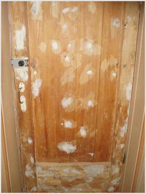 Как освежить старую деревянную дверь: идеи реставрации