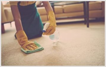Как почистить ковер в домашних условиях при помощи обычной соды и уксуса?