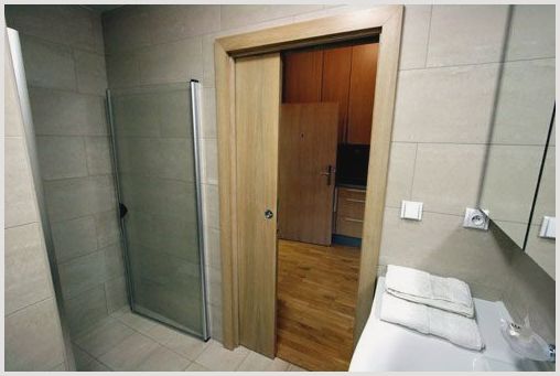 Раздвижные двери в ванную и туалет: советы по выбору