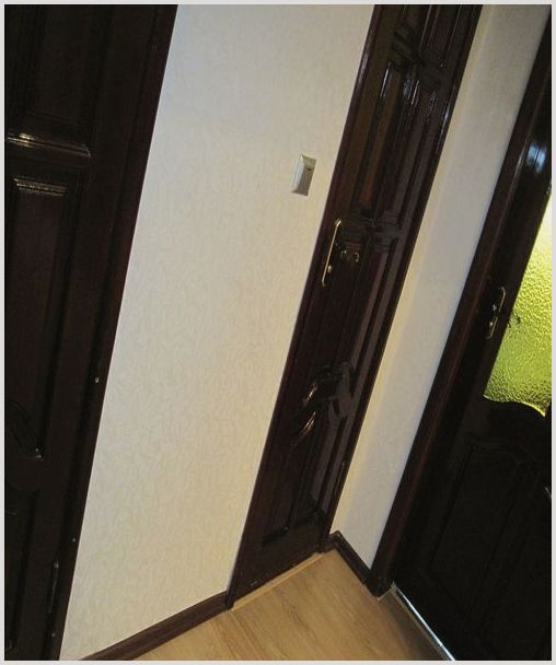 Темные двери в интерьере квартиры: фото идеи