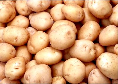 Россия активно импортирует картофель