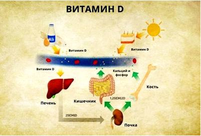 Более низкие уровни витамина D связаны с риском развития диабета.